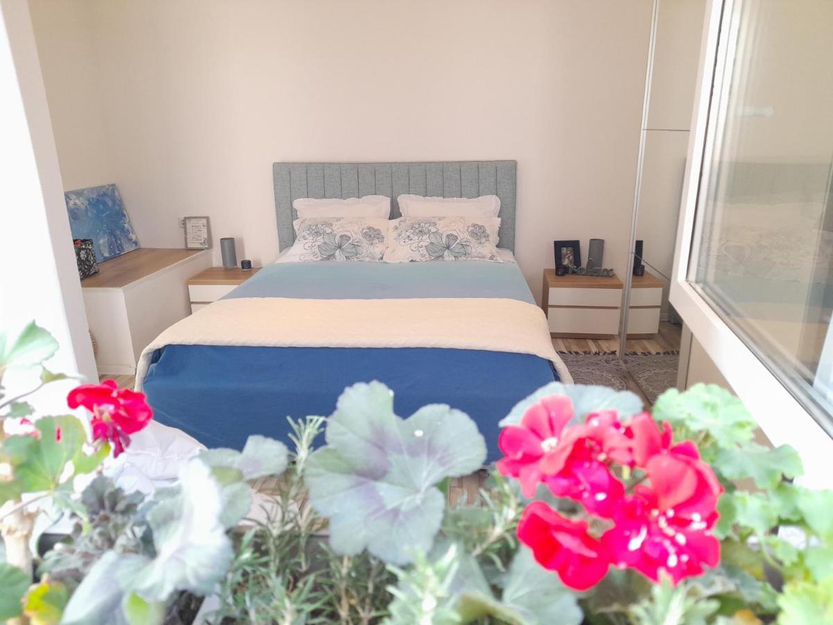 Nautica Free Parking Apartment Sibenik Exterior photo